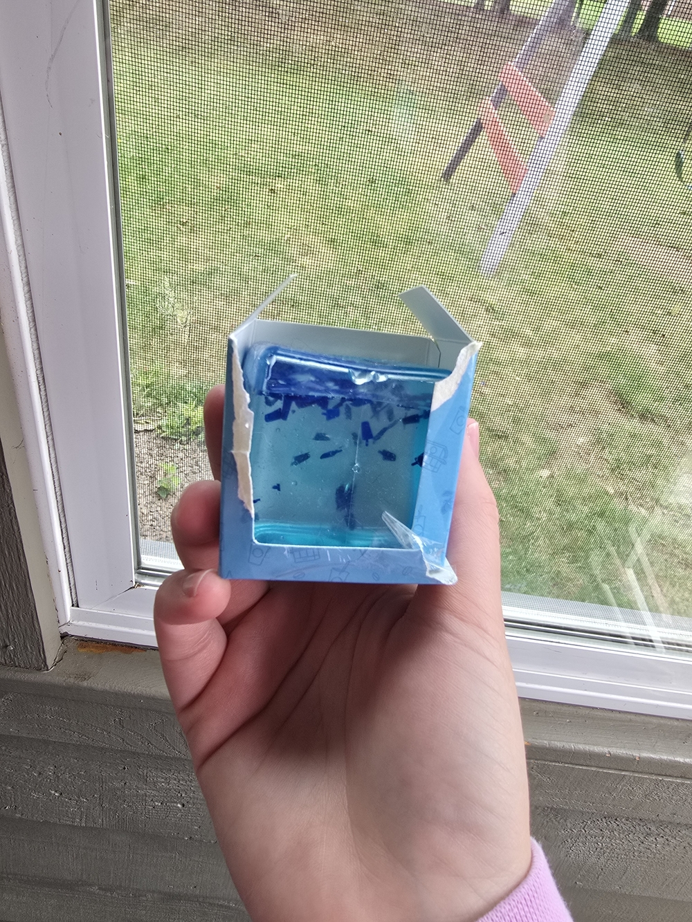 Blue Transparent Squishy 7 Brew Limited Edition